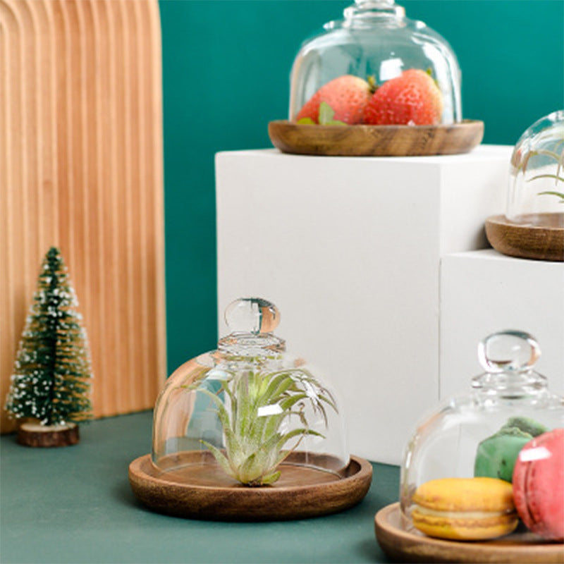 Glass Bell with Wooden Base Cloche